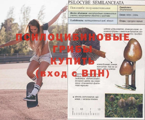 метадон Абинск